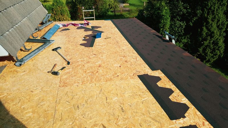 Asphalt Shingles Installation in Kingsland, GA