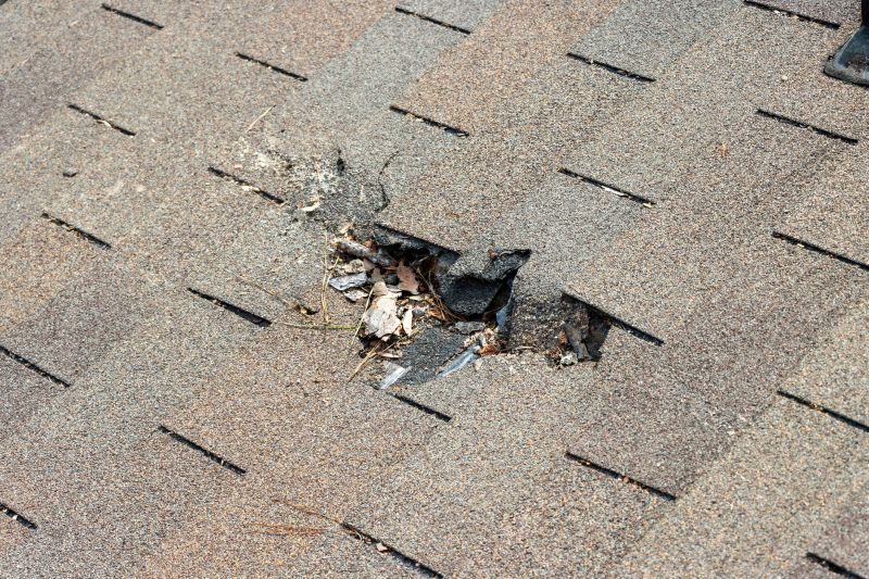 Damaged Roof Replacement in Jacksonville Beach, FL